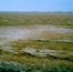 Crop Circle 1