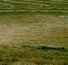 Crop Circle 2